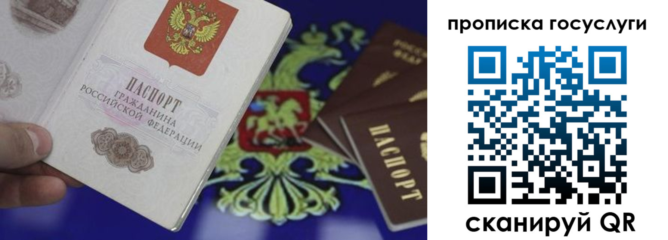 прописка для школы в Гагарине